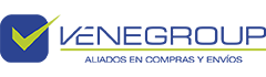Venegroup Services INC
